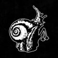 Flail snail image