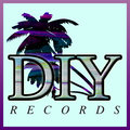 D.I.Y Records image