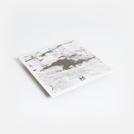 Nocturnal Emissions ‎– Spiritflesh | Nocturnal Emissions