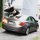 85 thumbnail
