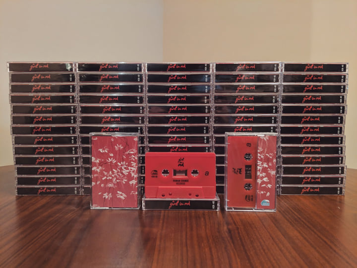 chapter 1 | girl in red | Human Sounds Records