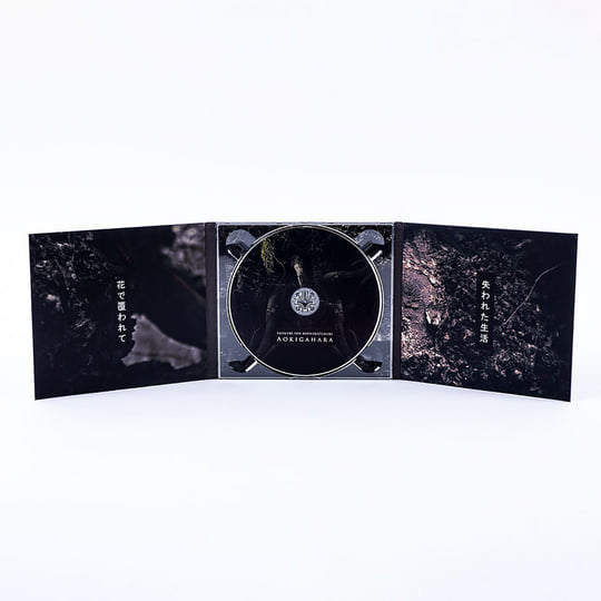 細野晴臣 FRIENDS OF EARTH／BODY SNATCHERS 61YAfO0uq8L._UF1000,1000_QL80_.jpg