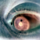 Xataraxx thumbnail