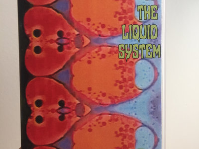 Z005: Anomalies of the Liquid System PURPLE VHS main photo