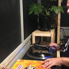 waxartistt thumbnail