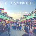 The Luna Project image