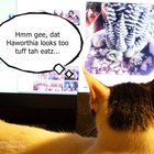 justcats thumbnail