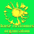 Daisy Electronics Organization image
