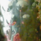 chamboulé thumbnail
