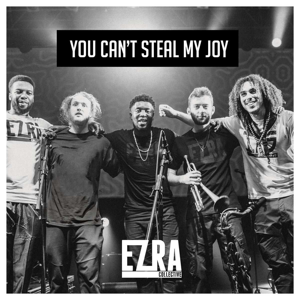 Resultado de imagen de ezra collective lp you can't steal my joy