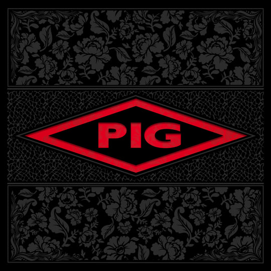 PIG (Raymond Watts)CD 6枚セット Red Room | PIG