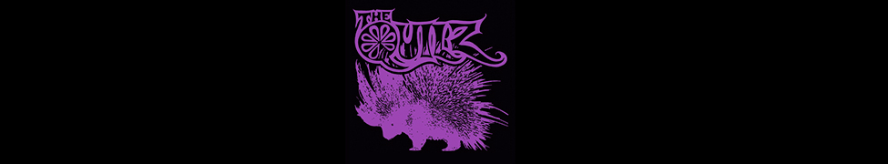 The Quilz — Photo