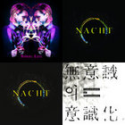 Nacht | Madmans Esprit | ATMF