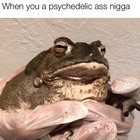 Dickylemons thumbnail