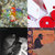 Robert Crace thumbnail