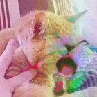 relxy. thumbnail