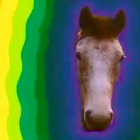maltomalk thumbnail