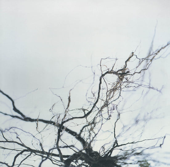 Nova + 4 | Yutaka Hirose | WRWTFWW Records Nova + 4 | Yutaka Hirose | WRWTFWW Records