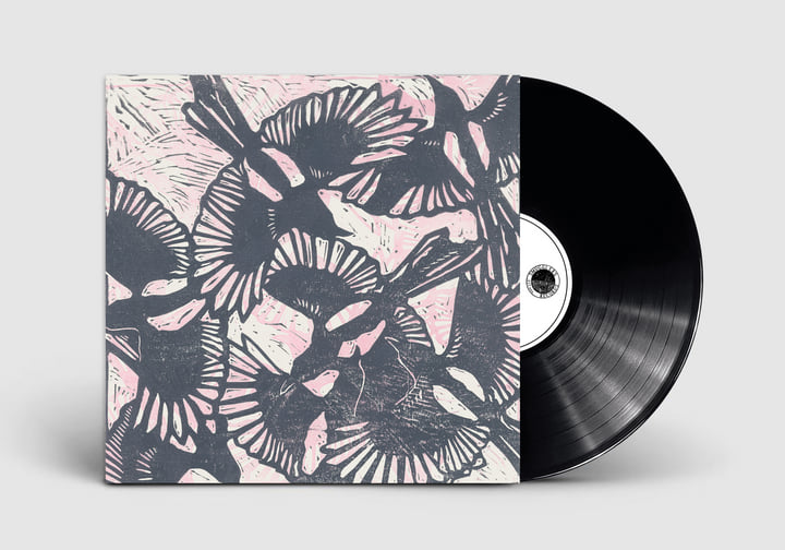 Everything We Hold In Hope | Cocos Lovers