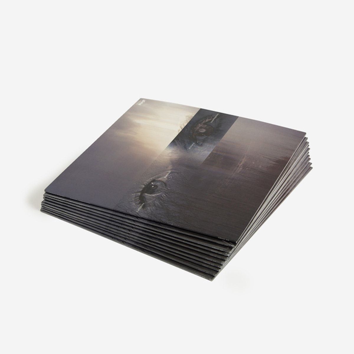 オーストリア2LP Caterina Barbieri Fantas Variations EMEGO279 Editions Mego /00520 hq720.jpg?sqp=-
