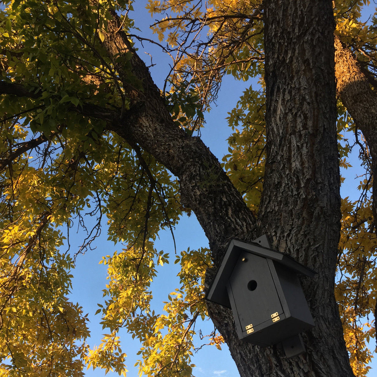 Mini Golf Collection | Mini Golf