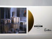 Harry Bertoia's Sonambient Archive - LP (black vinyl)