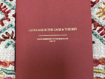 Language Is The Cage & The Key : Poetic Responses To The Blue Spark Part II main photo