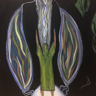 Randall Muse thumbnail
