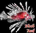 Blood Reef image