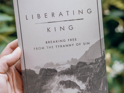 Liberating King book main photo
