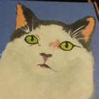 Royal Kitty Music thumbnail