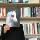 sebastian_ci thumbnail