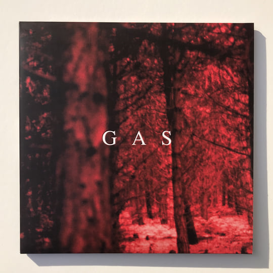 GAS Nah Und Fern 輸入盤4CD WOLFGANG VOIGT Nah Und Fern | GAS