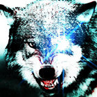 B_Omni thumbnail