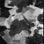 Leszek K. W. thumbnail