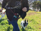 Best Buddy Dog Walks Long Sleeve photo 