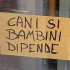 gambiro 30 thumbnail