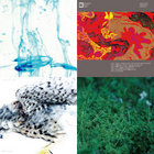 since | chouchou merged syrups. | Zankyo Record