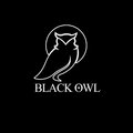 Black Owl Records image