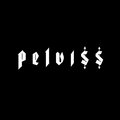 pelvi$$ image