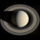 boomer0888 thumbnail
