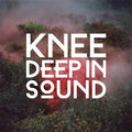 Knee Deep In Sound image