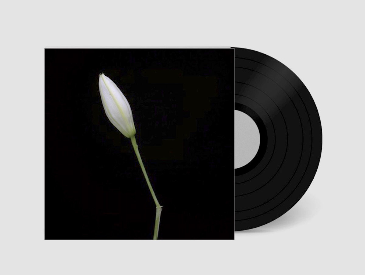 Snake It Records