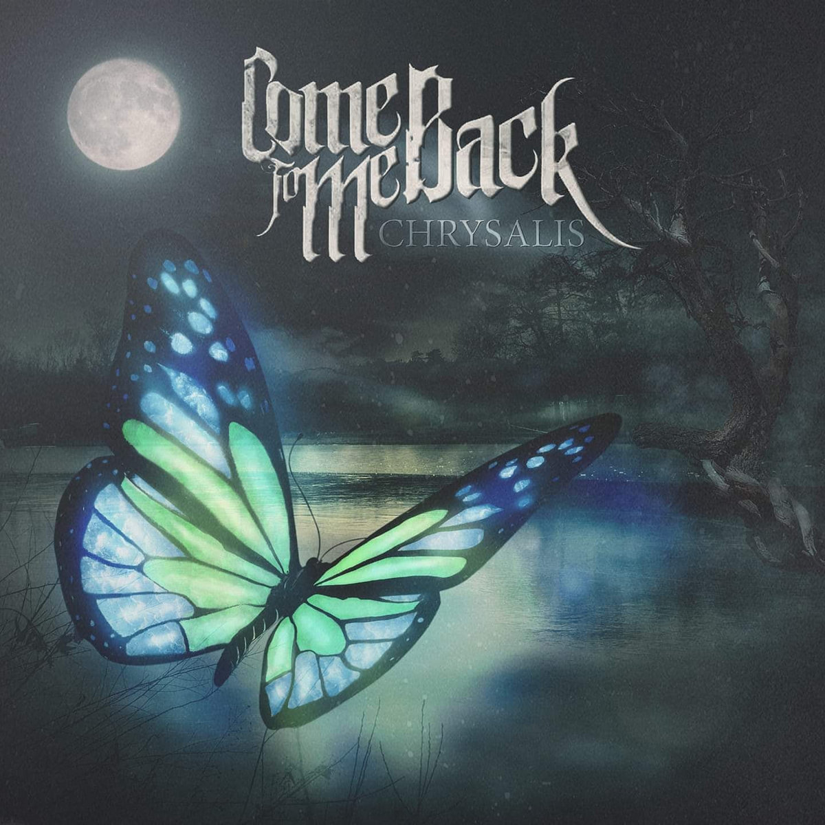 Music Come Back To Me