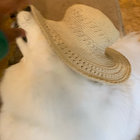 Helene Prince thumbnail