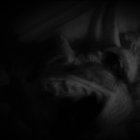 Nebel thumbnail