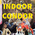 Indoor Condor image