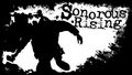 Sonorous Rising image