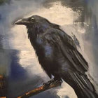 Ignis The Crow thumbnail