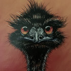 hendrikhintzen thumbnail